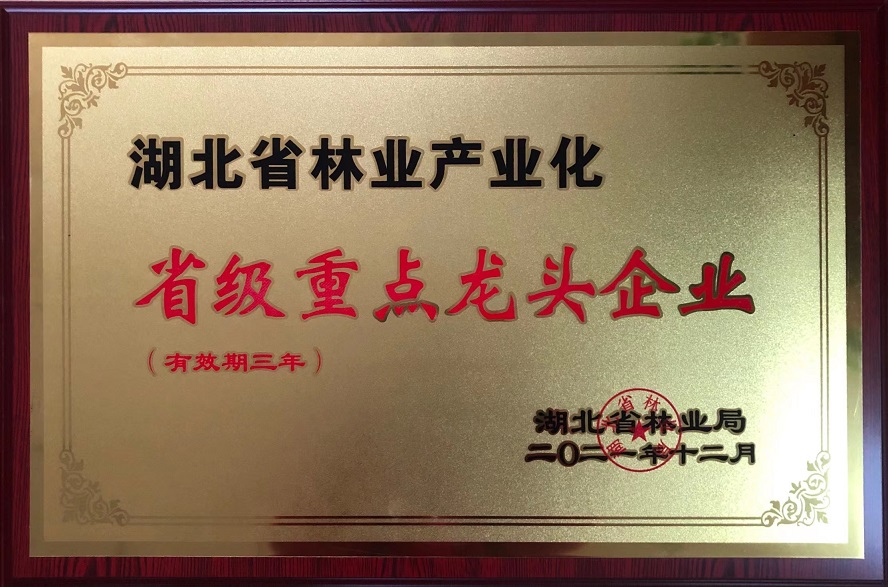 2021年湖北省林業(yè)產業(yè)化重點龍頭企業(yè).jpg